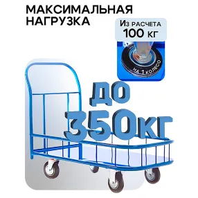 платформенная тележка с бортиком пбм-6.9 600х900 с колесами 125 мм